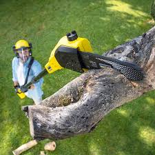 Best Aeration Services  in Edgerton, OH